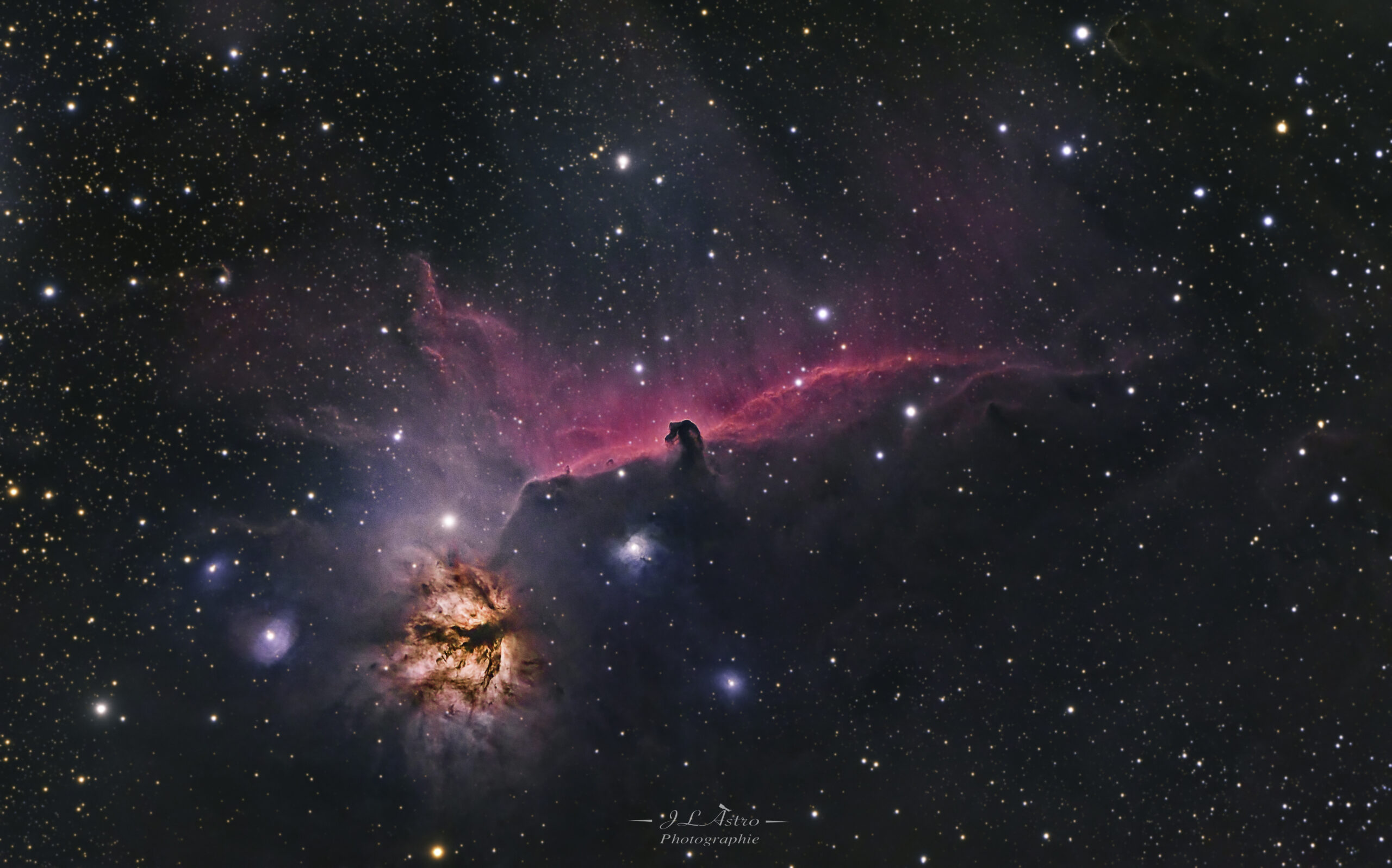 La nébuleuse de la Tête de Cheval, officiellement connue sous le nom de Barnard 33 (IC 434 désigne la nébuleuse émissive à l'arrière-plan), est une nébuleuse obscure dans la constellation d'Orion. La nébuleuse est située juste en dessous d'Alnitak , l'étoile la plus à l'est de la ceinture d'Orion. Elle est facilement reconnaissable par la forme en tête de cheval qui lui a donné son nom et qui se découpe dans la nébuleuse6. En effet, derrière la nébuleuse se trouve de l'hydrogène qui, ionisé par l'étoile brillante proche Sigma Orionis, donne une couleur rouge. L'obscurité de la tête de cheval est causée par la présence d'un nuage dense de gaz et de poussière. Cette dernière absorbe fortement le rayonnement visible émis par le gaz ionisé d'arrière-plan.

La nébuleuse de la Flamme (NGC 2024) est une nébuleuse en émission située dans la constellation d'Orion. Elle a été découverte par l'astronome germano-britannique William Herschel en 1786.La nébuleuse de la Flamme s'étend sur environ 12 années-lumière. C'est Alnitak (Zeta Orionis), l'étoile brillante la plus à l'est de la ceinture d'Orion, qui énergise la nébuleuse. L'intense rayonnement ultraviolet de cette supergéante bleue ionise les atomes d'hydrogène de la nébuleuse