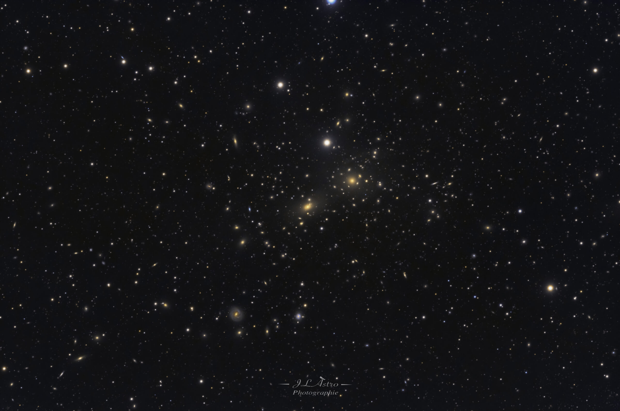 Retraitement d'une image d"e mars 2022.
L'amas de la Chevelure de Bérénice ou amas de Coma (Abell 1656) est un vaste amas de galaxies qui contient plus de 1000 galaxies identifiées. Avec l'amas du Lion (Abell 1367), c'est l'un des deux amas majeurs qui constituent le superamas de la Chevelure de Bérénice.
La distance moyenne de l'amas à la Terre est de environ 99 Mpc (∼323 millions d'a.l.)