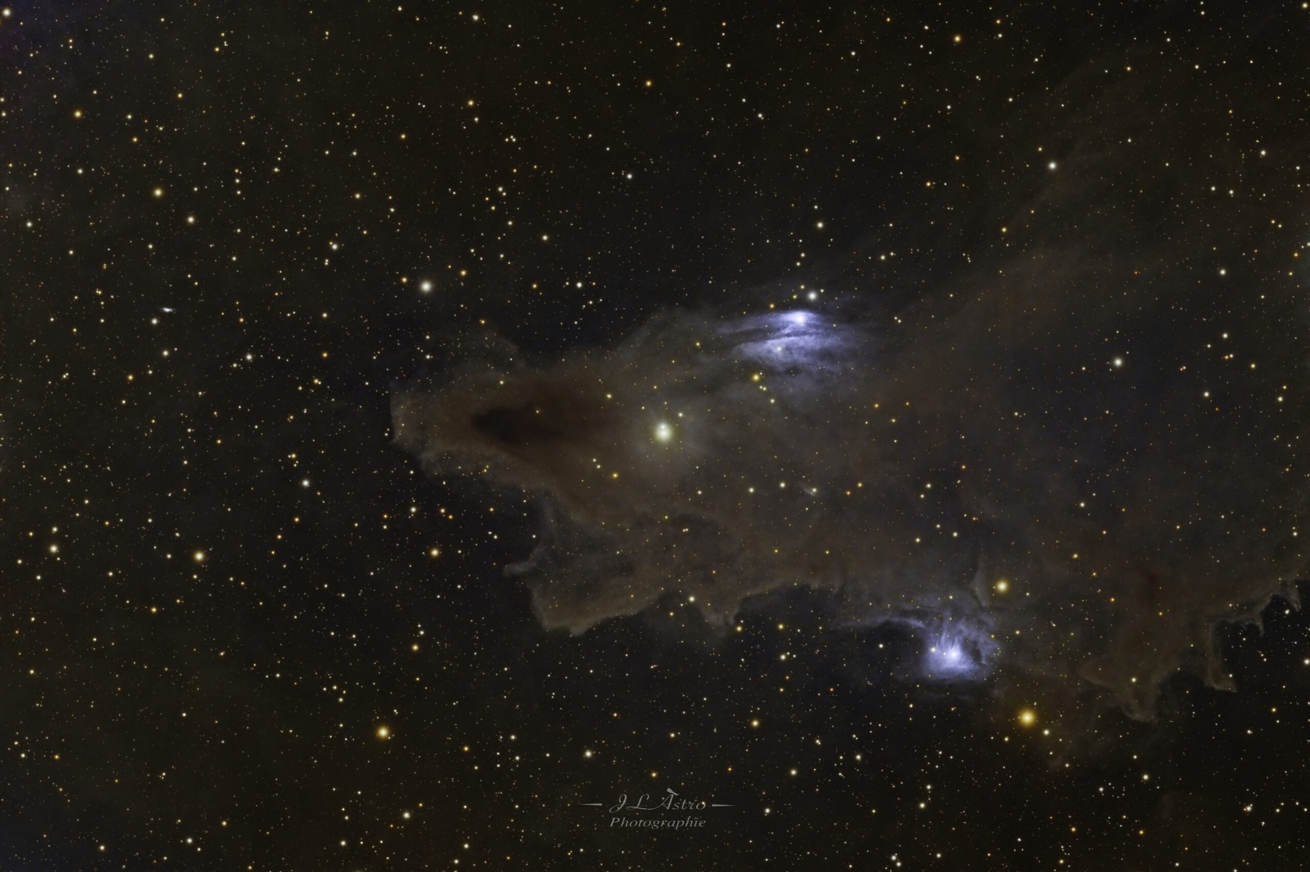 LDN 1235 - Shark nebula